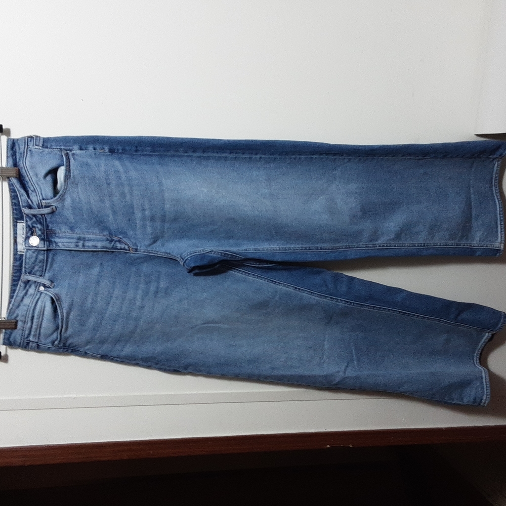 Article of Society Alana High Rise Wide Leg Oxford Denim Pant